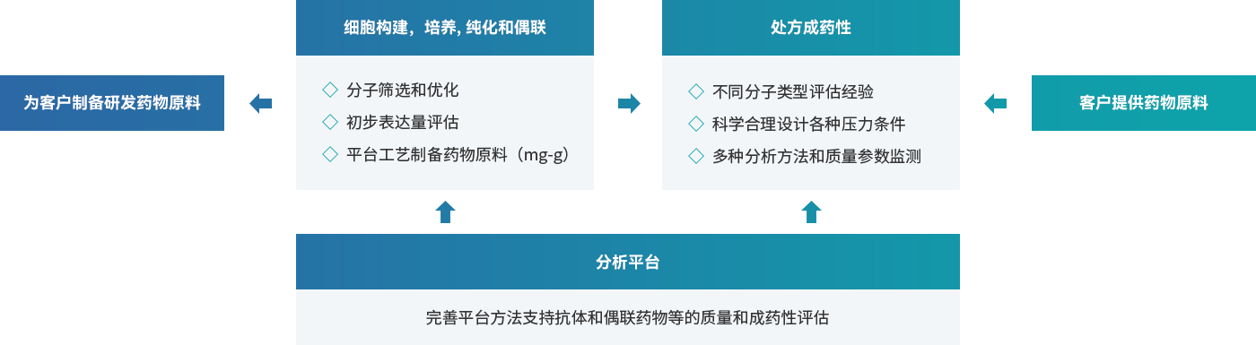 1-��ѡҩ���Ʊ��ʹ�����ҩ������-1.png